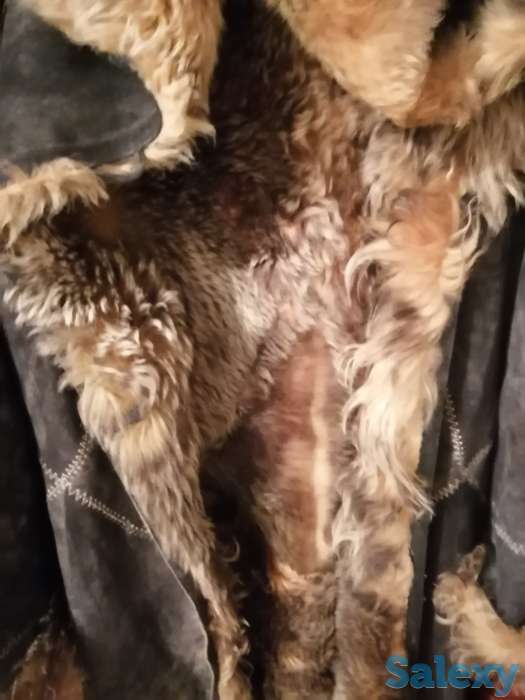 Продам Дубленку, фотография 1