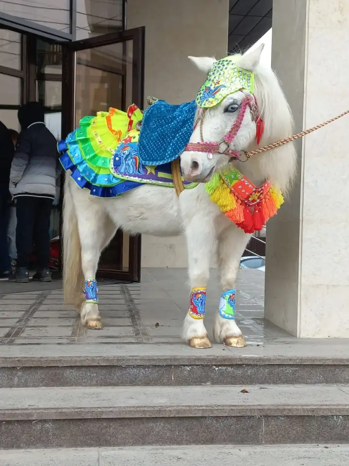 пони на Детский праздник, фотография 5