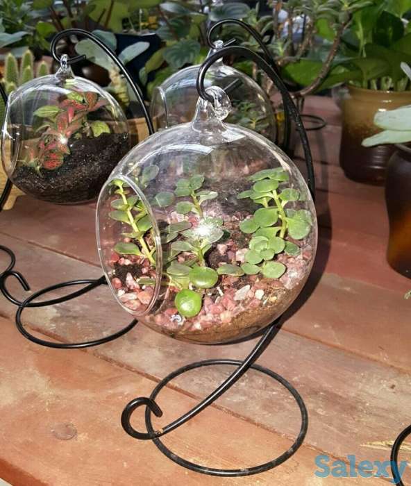 Прозрачный Стеклянный Шар Ваза., фотография 4