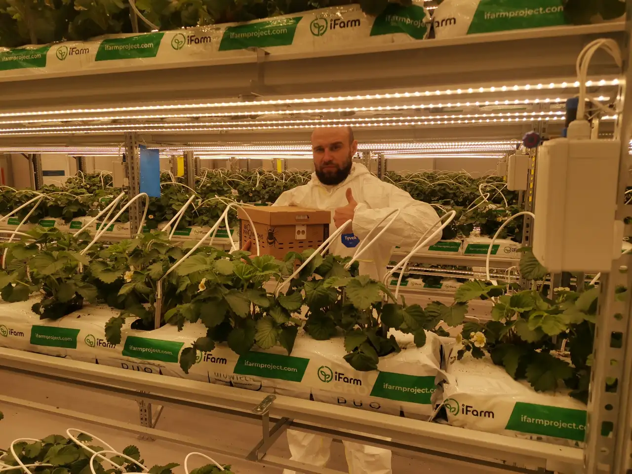 Шмелиная семья БиоИнновации Стандарт. Для опыления растений., фотография 10