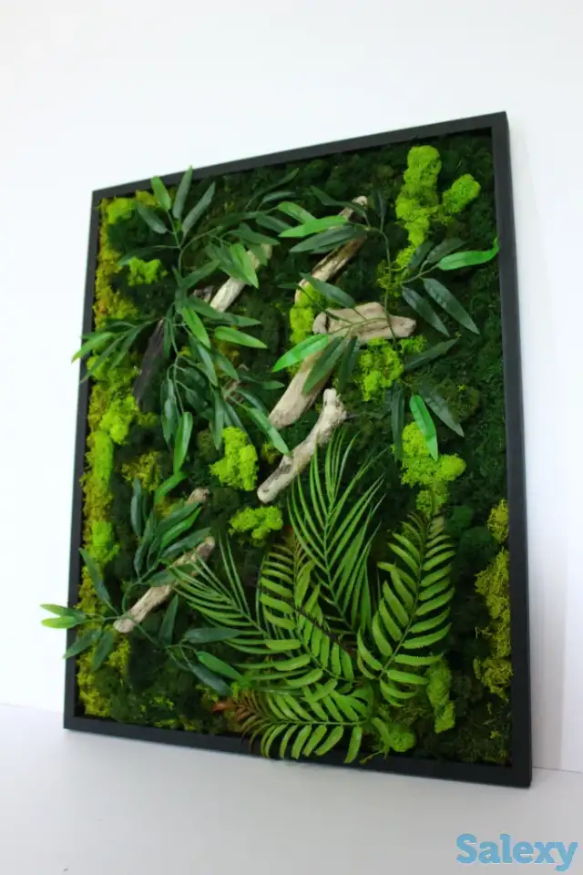 Картины из стабилизированного мха, фотография 2