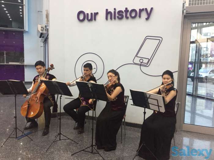 Струнный квартет для вашего мероприятия, фотография 5