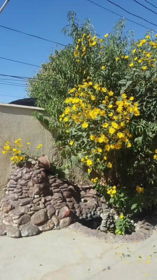 Продается основательный дом в центре города, фотография 4