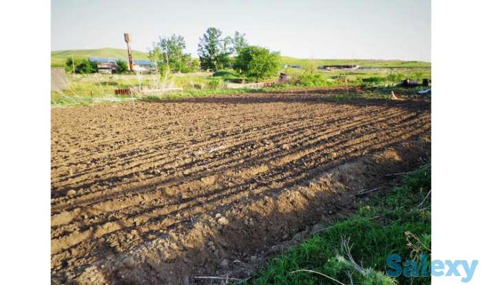 Продам крестьянское хозяйство 36 га, ферма, дом, гараж, летняя кухня,баня., фотография 13