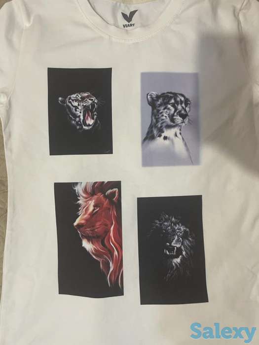 Принтер для футболок ACME-3043E + термопресс, фотография 2