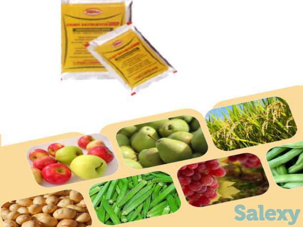 Продаю: cемена, удобрения, средства защиты растений, удобрения, сервис, фотография 1