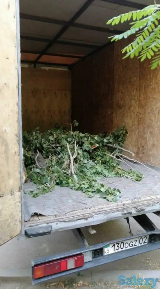 Спил деревьев по городу Алматы и Алматинской области, фотография 6