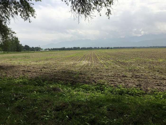 Продам земельный участок 82.6 га, фотография 2