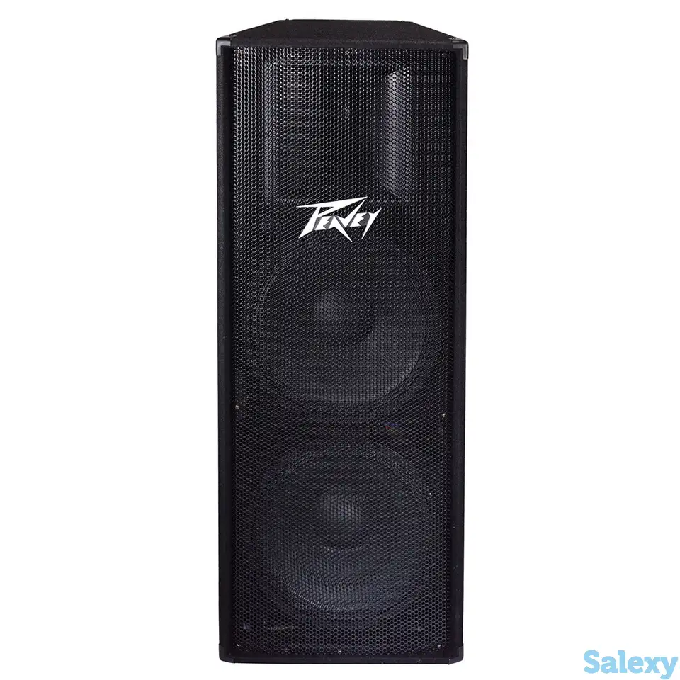 Акустическая система с защитой динамиков peavey pv 215, фотография 1