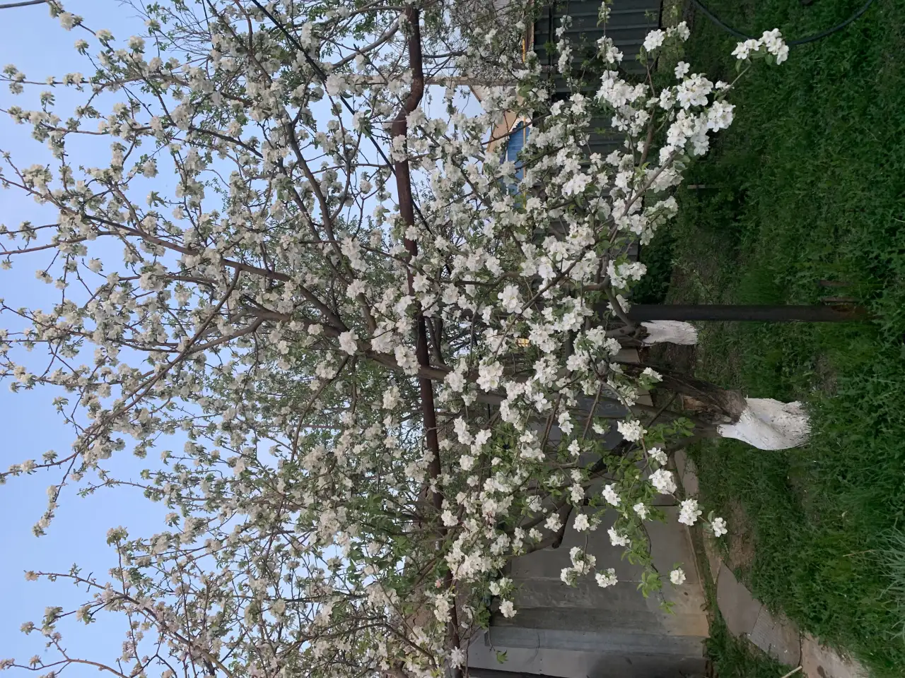 Продается добротный дом с участком, С. Достык(РТС)  ул. Макатаева (Первомайская) 13, фотография 11