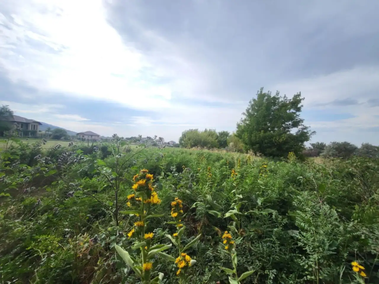 Продаем земельный участок  1 гектар возле поселка Джандосова, фотография 2