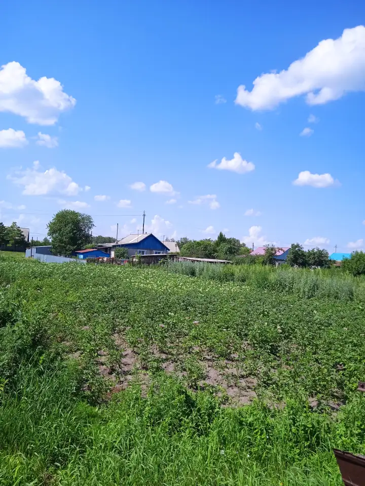 Продам 4-комнатный дом, Якорь,Новая 20, фотография 12