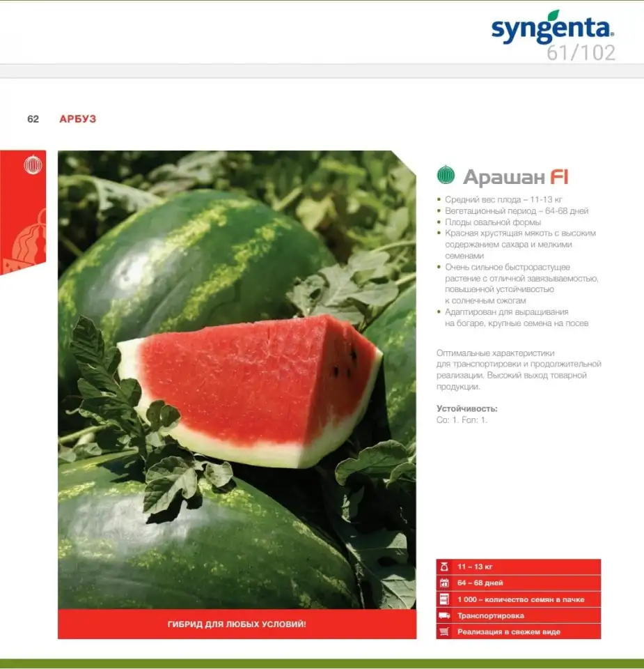 Продаем семена арбуза, фотография 13