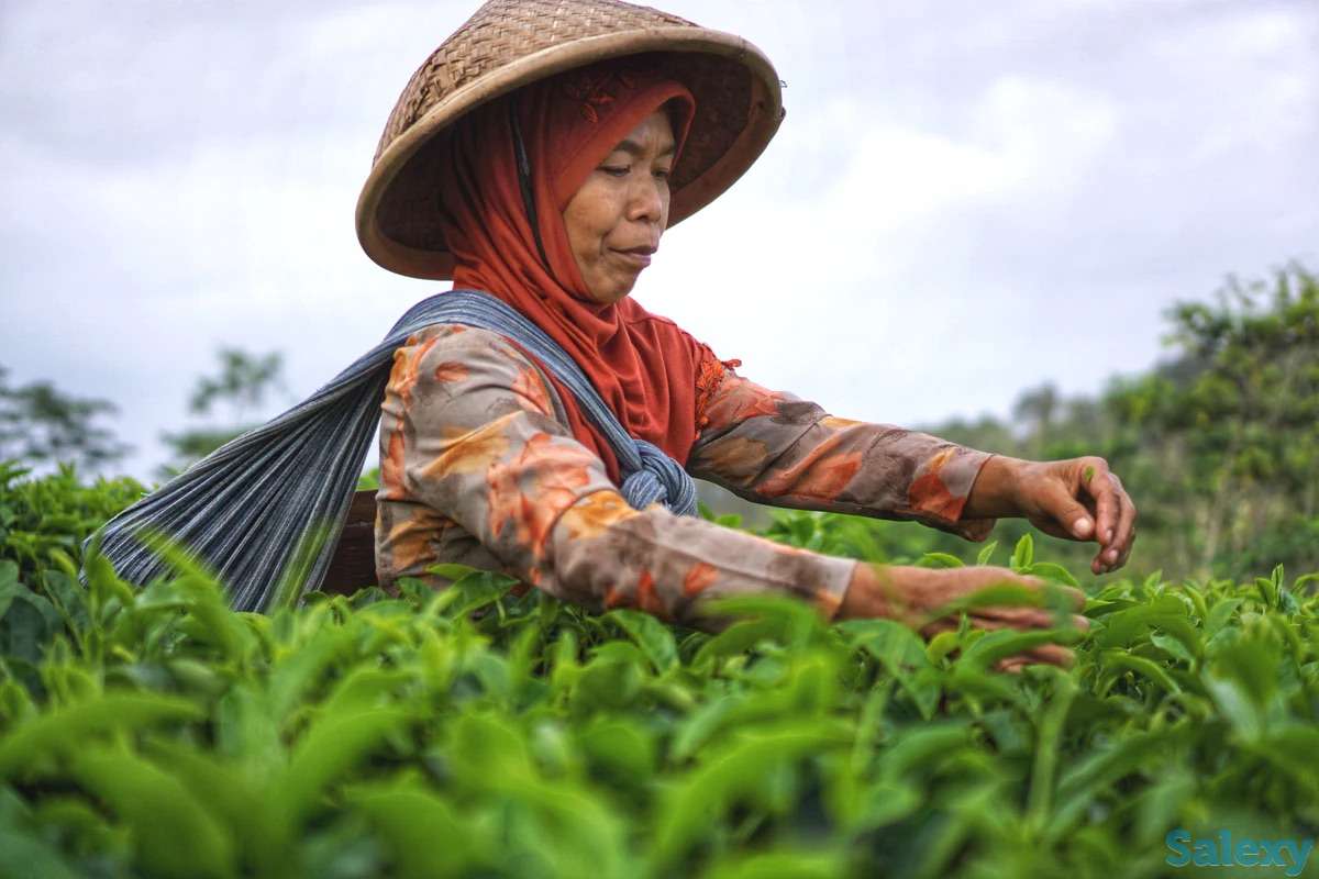 Чай кратом в Алматы, фотография 1