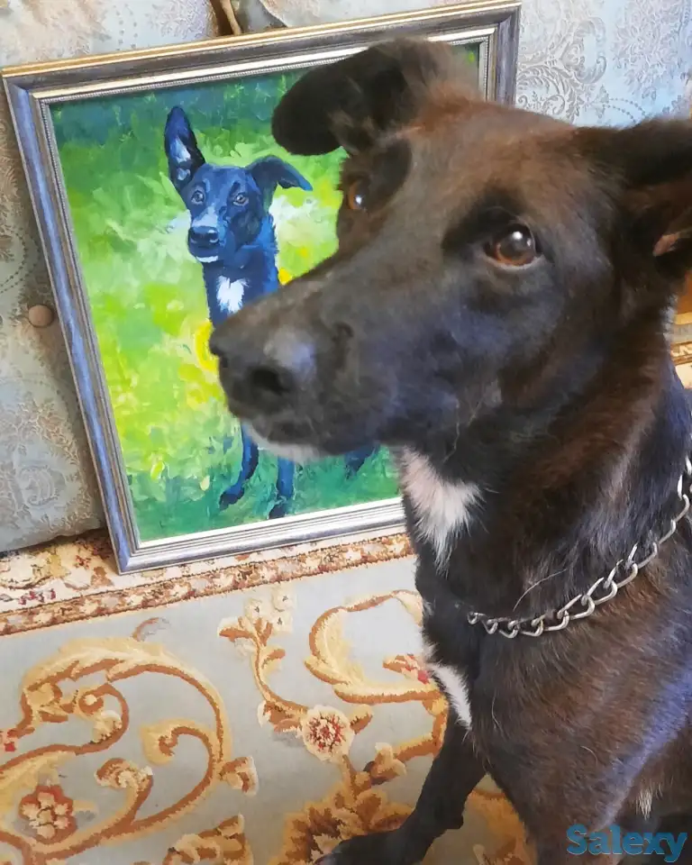 Напишу живописный портрет вашего питомца или вас вместе!, фотография 2