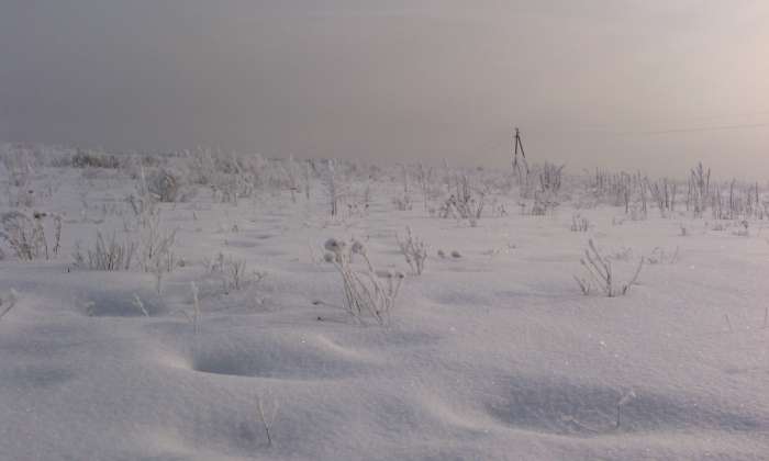 Продам участок 8 соток Кок-Сай (Путь Ильича) в 9км от Алматы, фотография 11