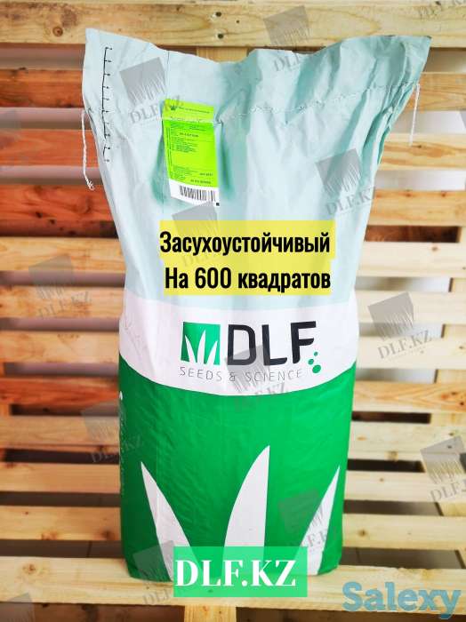 Газонная трава DLF Trifolium, фотография 1