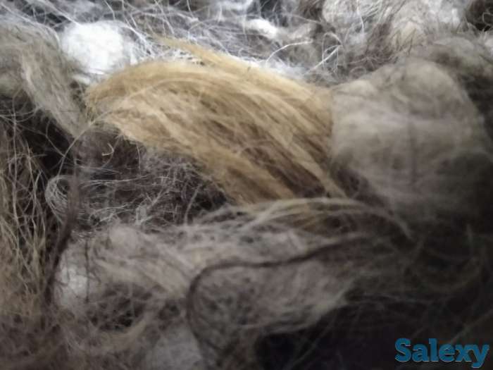 Продажа шерсть овечья, фотография 4