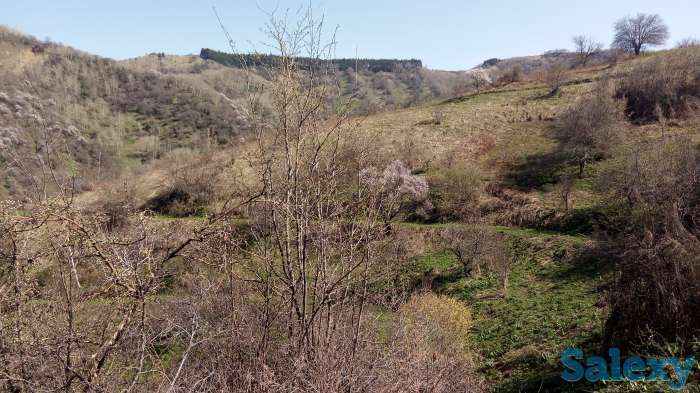 Продажа, Мкр Сулусай, фотография 3