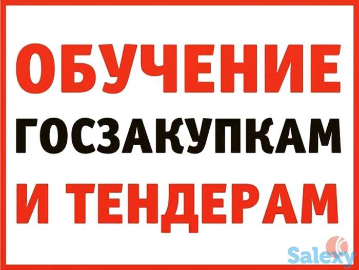 Индивидуальное обучение тендерам., фотография 1