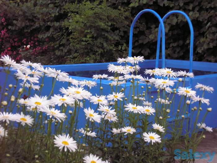 Продажа дачи, н.п Райымбек в 5 км.  от , фотография 3