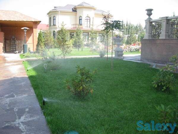 укладка газона, фотография 3