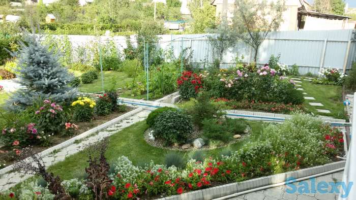 Продам дачу с интересным дизайном, КАЗАХСТАН,  ул. Карбышева 38-40, фотография 9