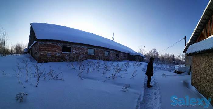 продам свинокомплекс, фотография 9