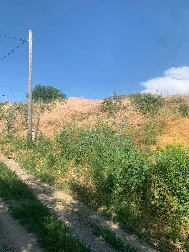 Продам участок 6 соток, село Бесагаш, ПК «Тау-Думан», фотография 3