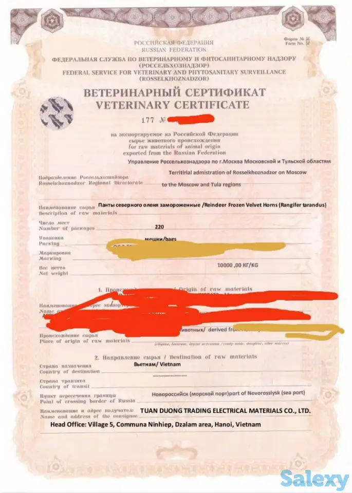 Продам панты (рога ) северных оленей, фотография 1