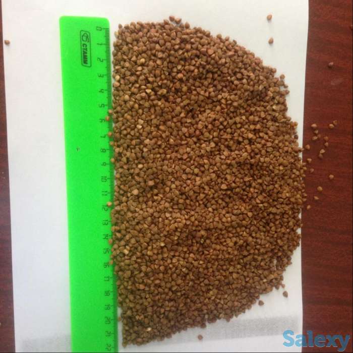 Продам крупу гречневую от производителя, фотография 1