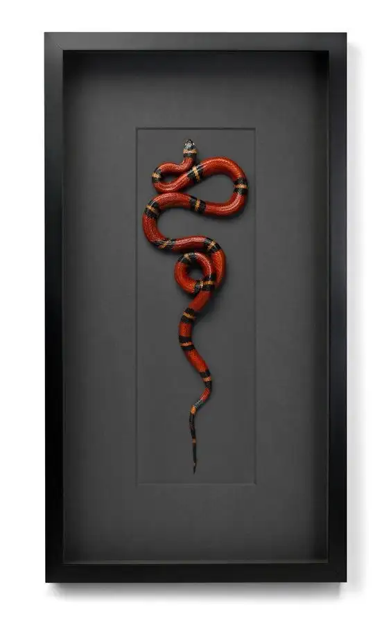 Пано Змеи. На заказ. Всех размеров и расцветок, фотография 4