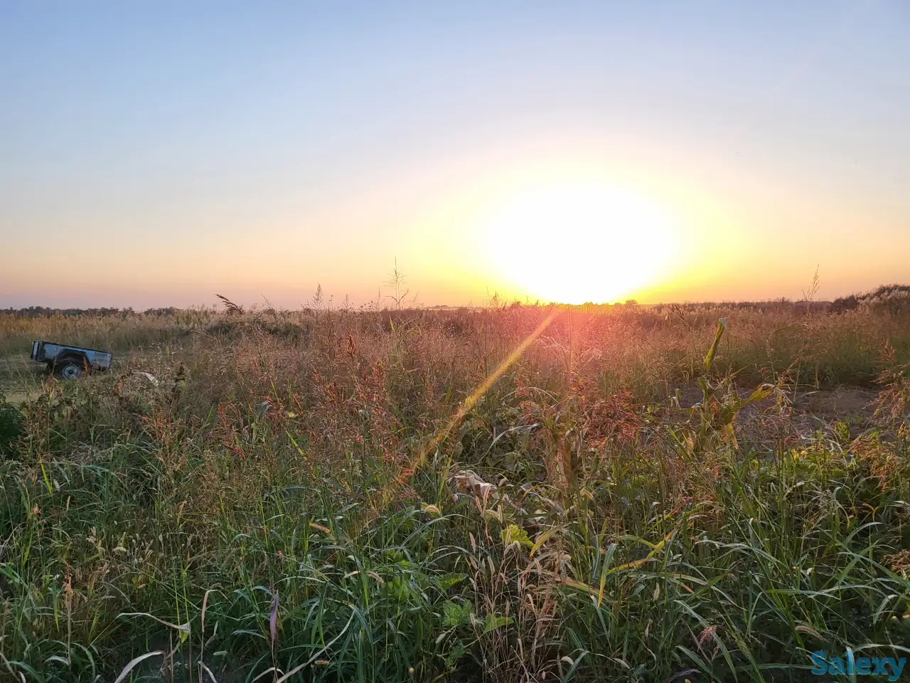Продам поле 11 га, Район с. Куш, близ с. Балтабай, Алматинская область, фотография 1