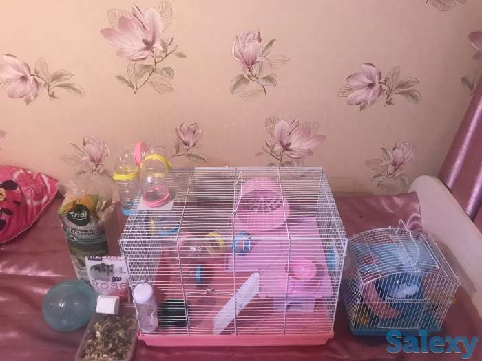 Продам клетка для хомяков 2 -этажный +подарок, фотография 6