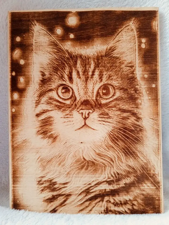 ЧПУ станок выжигатель, фотография 6