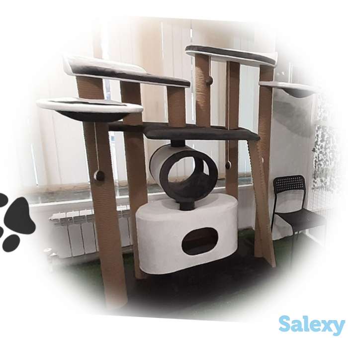 Гостиница для кошек. Передержка домашних питомцев. Отель для кошек, фотография 4