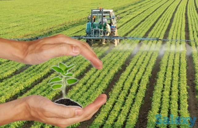 Средства защиты растений,гербициды!, фотография 1