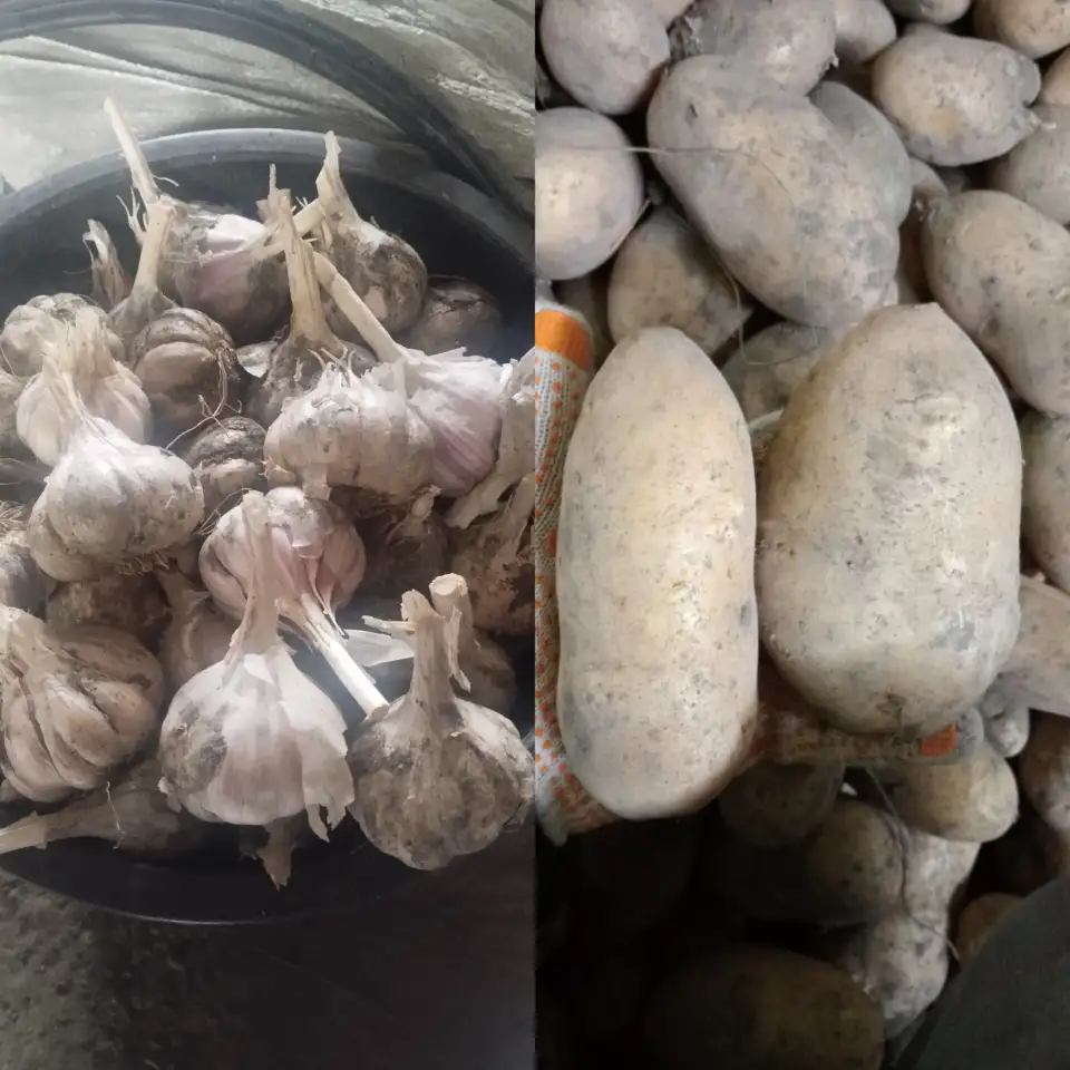 Продам домашний картофель и чеснок, фотография 1