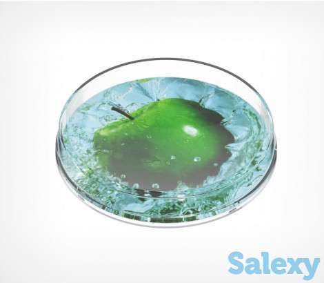 Монетницы, фотография 3