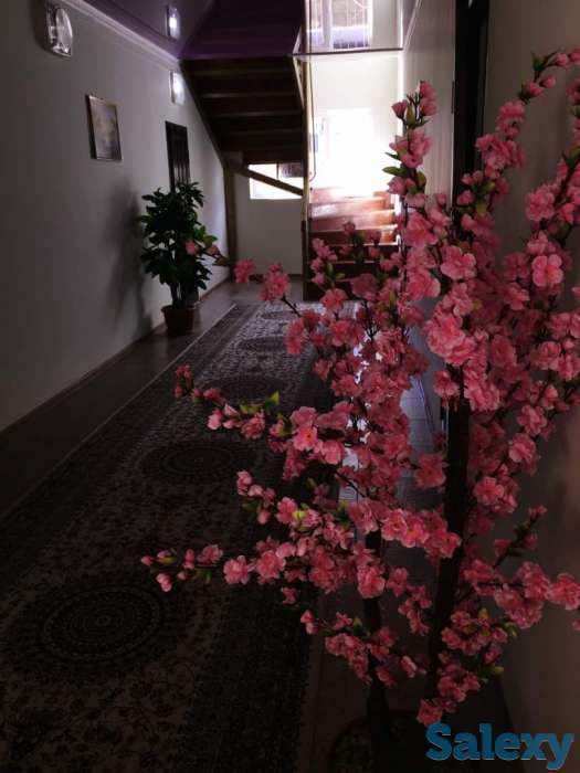 Гостевой дом «Арбат» г. Чолпон-Ата!, фотография 4