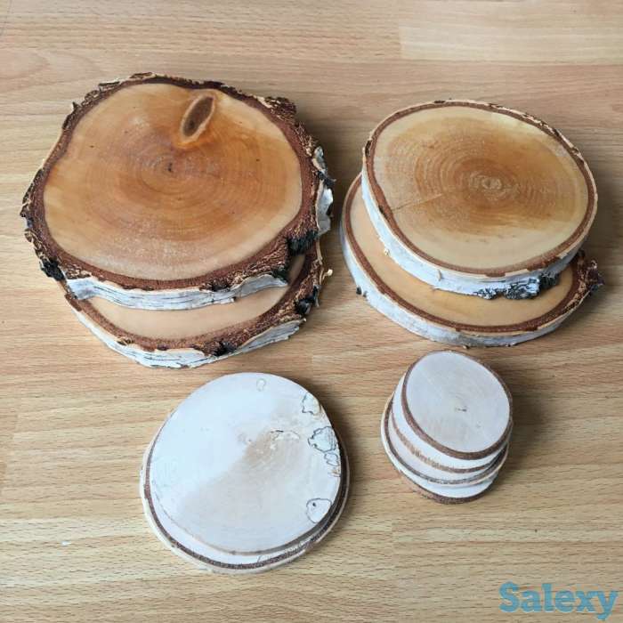 Набор из спилов березы, фотография 1