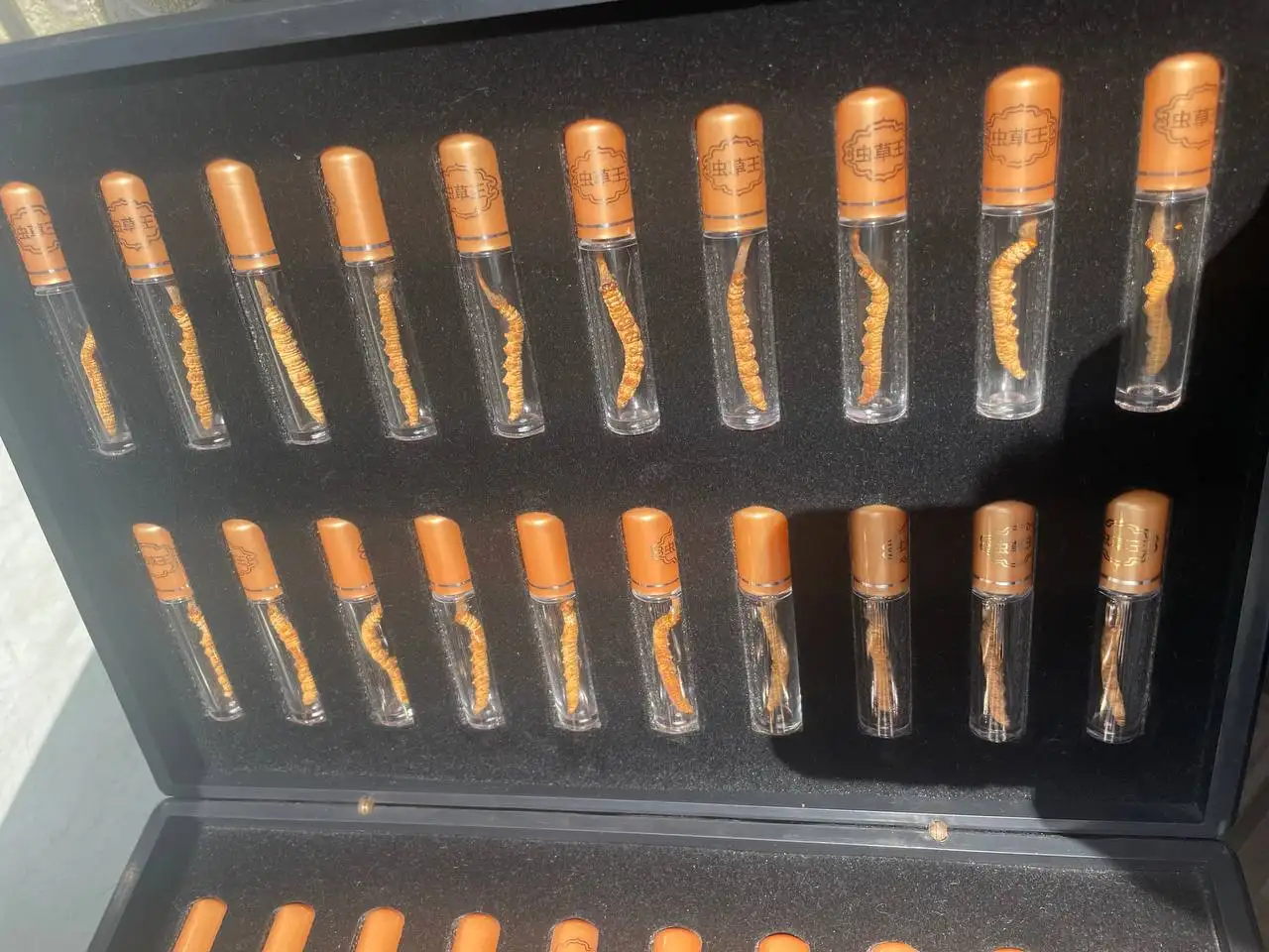 Кордицепс Синенсис 10гр, фотография 3