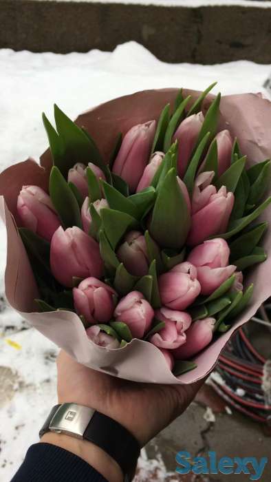 Голландские тюльпаны 10 лучших сортов,оптом и в розницу !, фотография 6