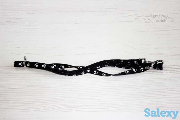 Поводок, фотография 5