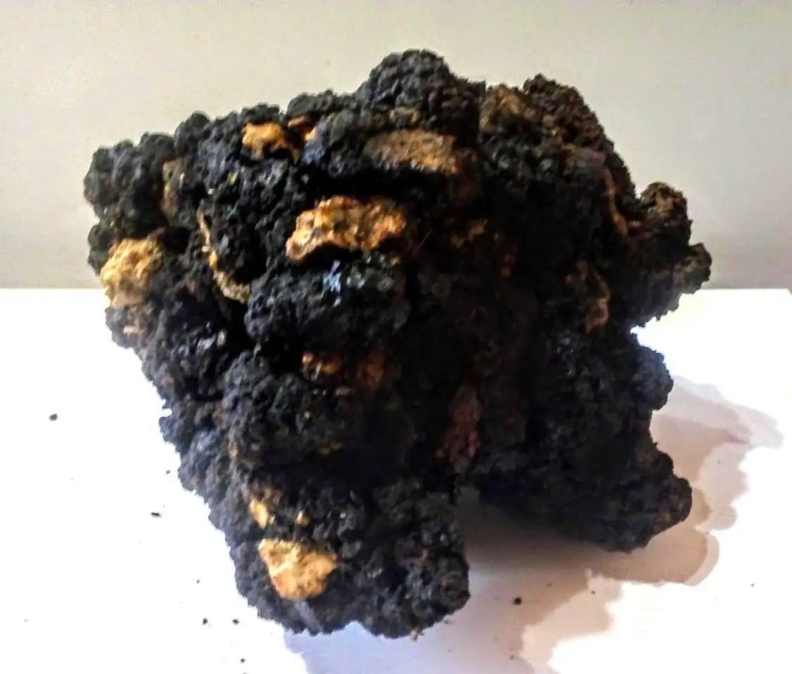 качественное Мумиё., фотография 5