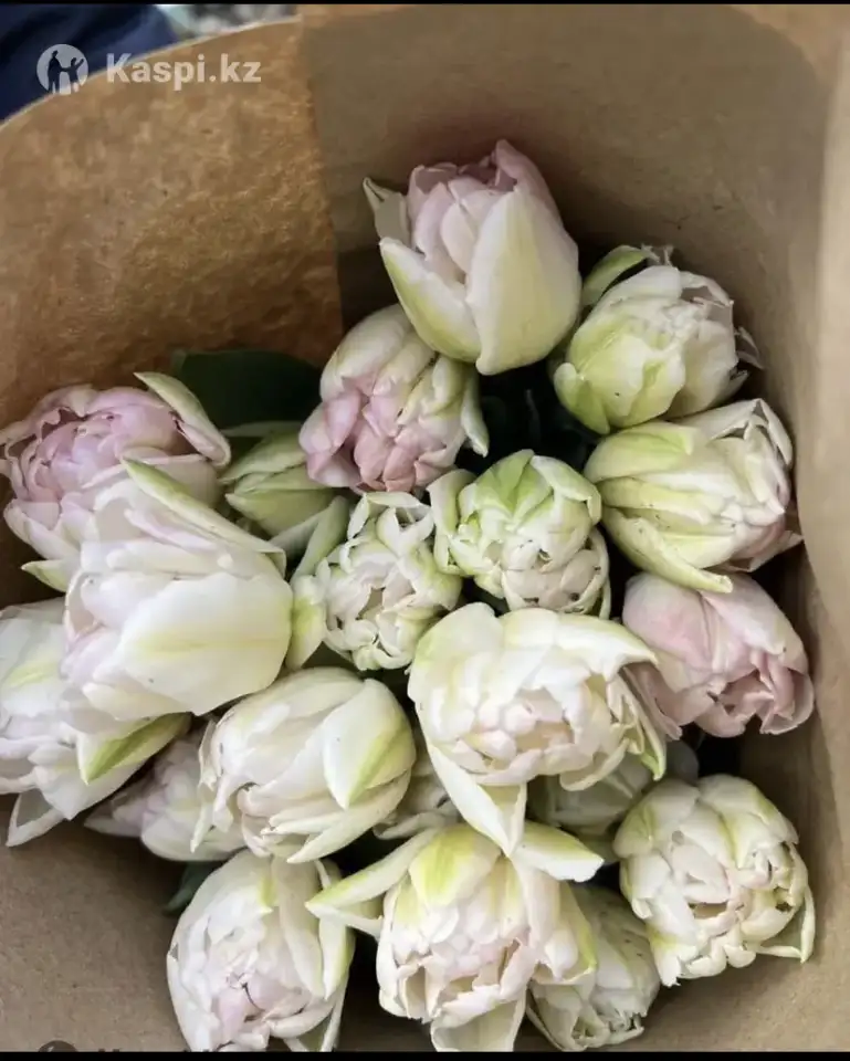 Тюльпаны премиум класса оптом к 8 марта, фотография 5