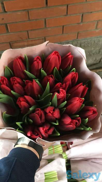 Голландские тюльпаны 10 лучших сортов,оптом и в розницу !, фотография 3