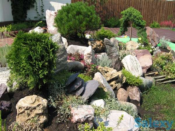 Озеленение благоустройство участка, фотография 10