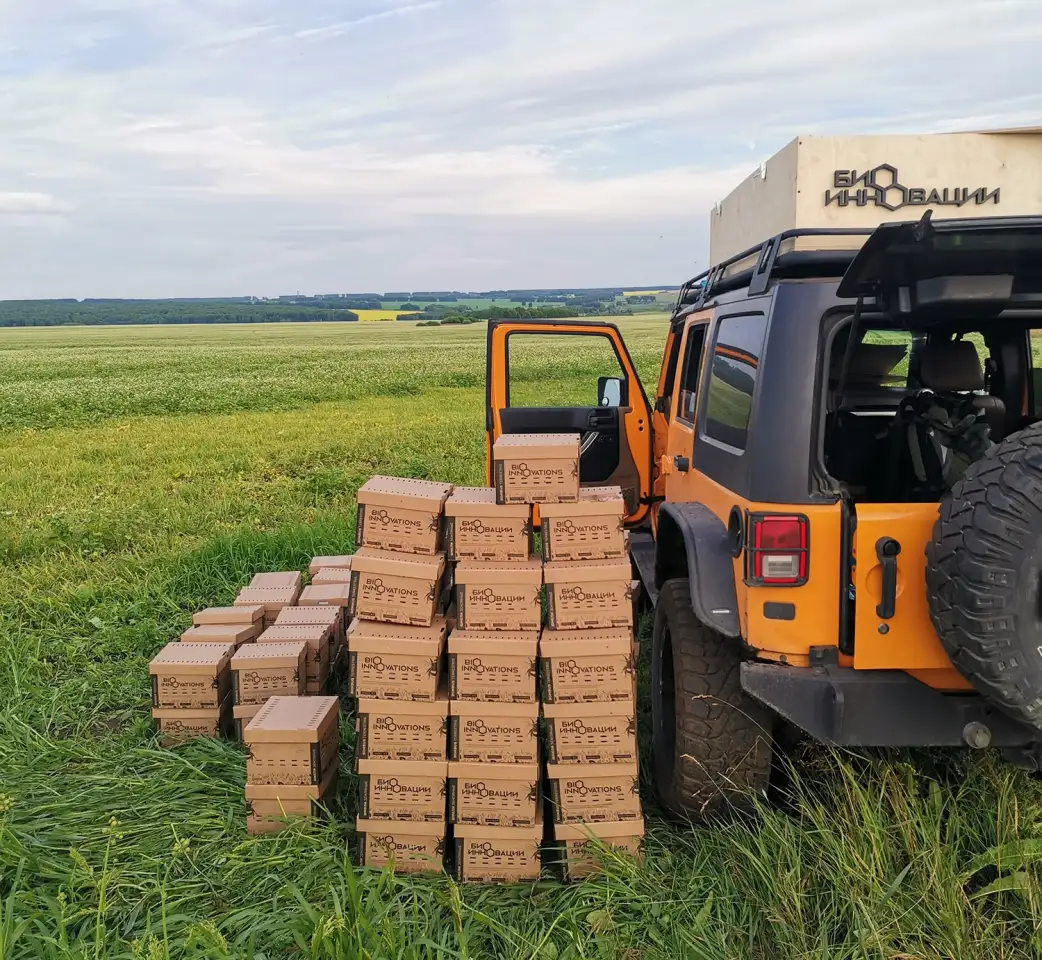 Шмелиная семья БиоИнновации Стандарт. Для опыления растений., фотография 9