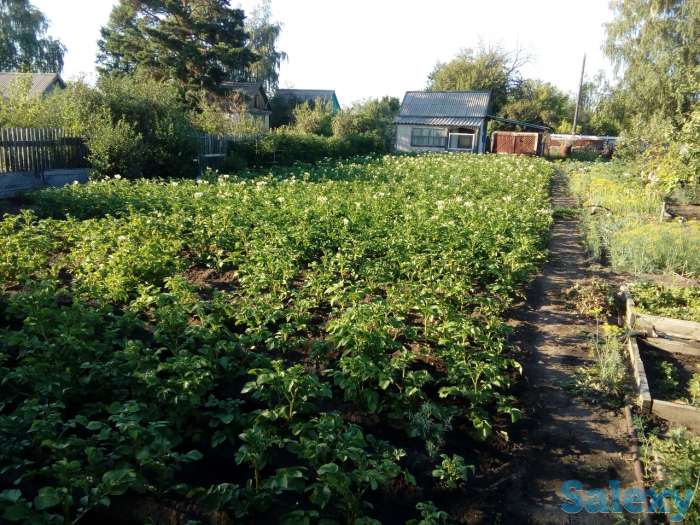 Продам дачу!, фотография 4